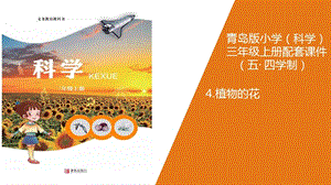 青島版三年級上冊科學(xué)4.植物的花教學(xué)課件.ppt