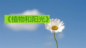青島版二年級上冊科學10.植物和陽光 教學課件.pptx