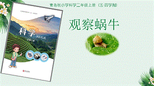 青島版二年級上冊科學(xué)4.觀察蝸牛說課課件.pptx