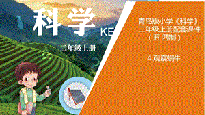 青島版二年級上冊科學(xué)4.觀察蝸牛教學(xué)課件.pptx
