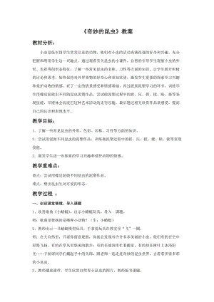浙美版一年級下冊美術奇妙的昆蟲教案1.doc