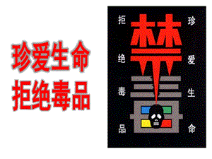 浙教版六年級人自然社會第6課遠離毒品珍愛生命課件（27張ppt）.ppt