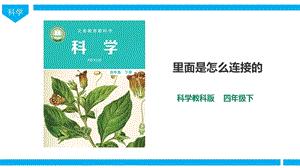教科版四年級下冊科學2.5里面是怎樣連接的課件（24張PPT）.ppt