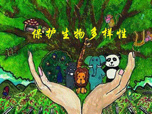 2021新教科版六年級下冊科學教學課件-2.7《保護生物多樣性》.pptx