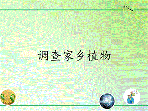 青島版（54制）三年級下冊科學(xué)課件16.調(diào)查家鄉(xiāng)植物.pptx