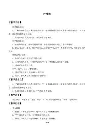 青島版（54制）三年級下冊科學(xué)教案13.種辣椒.docx