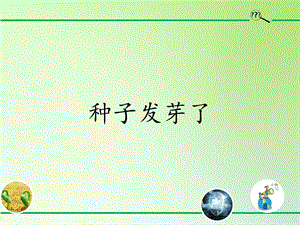 青島版（54制）三年級下冊科學課件12.種子發芽了.pptx