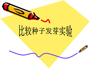 教科版五年級(jí)下冊(cè)科學(xué)課件1.2比較種子發(fā)芽實(shí)驗(yàn).pptx