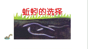 教科版五年級下冊科學(xué)課件1.4蚯蚓的選擇.pptx