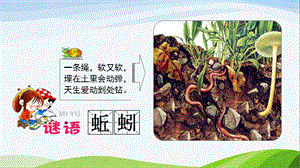 青島版一年級下冊科學第13課蚯蚓的家課件.ppt