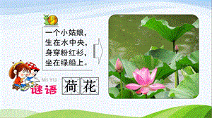 青島版一年級下冊科學第11課我們周圍的植物課件.ppt