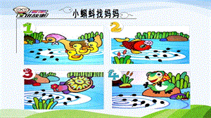 青島版一年級下冊科學第二單元第7課《小動物找媽媽》課件.ppt