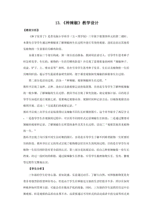 青島版（五四制）三年級下冊科學13.《種辣椒》 教學設計.doc