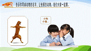青島版一年級下冊科學第6課動物的運動課件.pptx