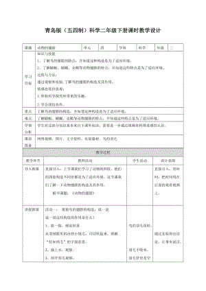 青島版二年級下冊科學(xué)13.動物的翅膀 教案.doc