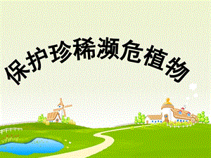 浙教版小學人自然社會四年級第7課保護珍稀瀕危植物課件（16張ppt）.ppt