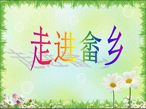 浙教版小學人·自然·社會四年級第14課 走進畬鄉 課件（24張ppt）.ppt