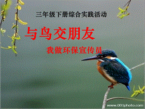 小學(xué)綜合實(shí)踐-主題班會(huì)《與鳥交朋友》公開課課件（安徽市級(jí)優(yōu)課）.pptx