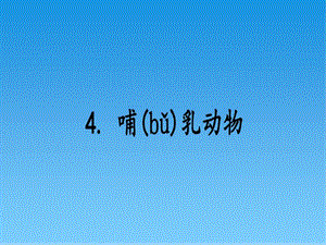青島版四年級上冊科學4.哺乳動物 課件.ppt