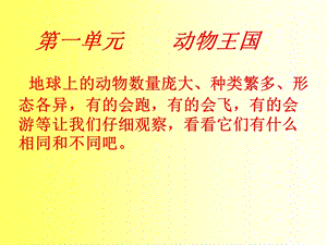 青島版四年級上冊科學1.螞蟻 課件.ppt