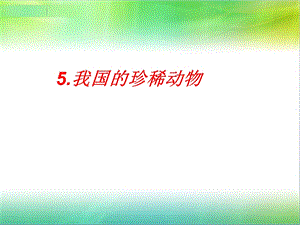 青島版四年級上冊科學5.我國的珍稀動物 課件.ppt