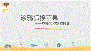 新世紀版五年級上冊信息技術(shù)第10課 涂鴉狐接蘋果 課件.ppt