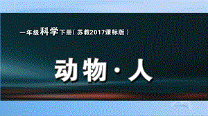 蘇教版一年級下冊科學(xué)12《動物·人》課件（遼寧部級優(yōu)課）.pptx