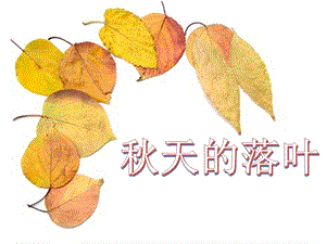 嶺南版三年級下冊英語15秋天的落葉課件（廣東縣級優課）.pptx