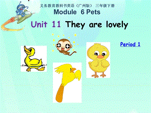 教科版三年級(jí)下冊(cè)英語(yǔ)M6 Unit11《They’re lovely》課件.ppt