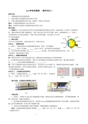 滬科版八年級物理4.6《神奇的眼睛》教案（邵老師重慶省級優課）.doc