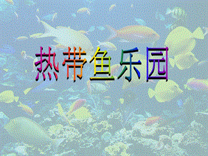 浙人美版一年級下冊美術(shù)15《熱帶魚樂園》課件（17張ppt福建縣級優(yōu)課）.pptx