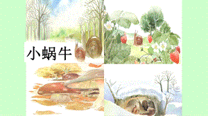 部編版一年級下冊語文21小壁虎借尾巴課件（32張ppt上海部級優課）.pptx