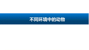 人教鄂教版（2017版）四年級下冊科學(xué)11不同環(huán)境中的動物-課件.pptx