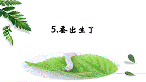 人教鄂教版四年級下冊科學5蠶出生了課件.pptx