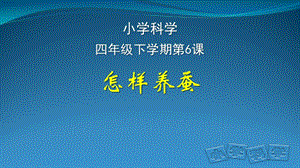 人教鄂教版四年級下冊科學6.《怎樣養(yǎng)蠶》課件.pptx