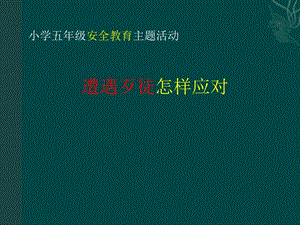 小學(xué)安全教育《遭遇歹徒如何應(yīng)對》課件（江蘇市級優(yōu)課）.pptx