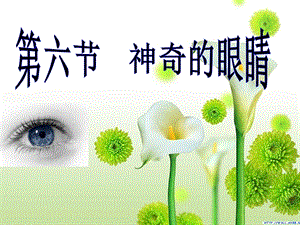 滬科版八年級全一冊物理4.6《神奇的眼睛》課件（鄭老師福建市級優課）.ppt