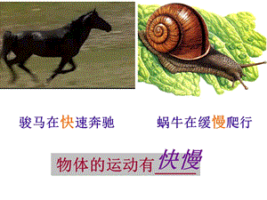 滬科版八年級(jí)全一冊(cè)物理2.3快與慢課件（魯老師河南市級(jí)優(yōu)課）.ppt