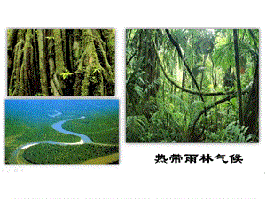 人教版七年級(jí)上冊(cè)地理3.4世界的氣候課件（江蘇市級(jí)優(yōu)課）.pptx