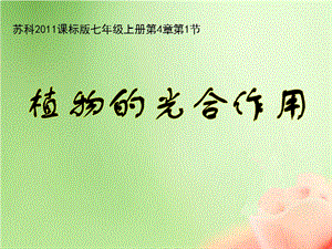 蘇科版七年級上冊生物3.4.1《植物的光合作用》課件（江蘇市優）.pptx