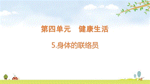 2021新版教科版五上科學4-5身體的聯絡員-課件.pptx