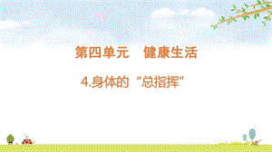 2021新版教科版五上科學(xué)4-4身體的“總指揮”-課件.pptx