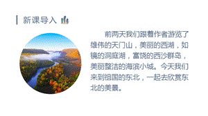 人教部編版三年級上冊語文（教學課件）20.美麗的小興安嶺.pptx