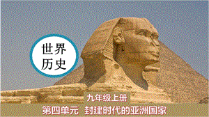 人教部編版九年級(jí)上冊(cè)歷史課件第11課古代日本.pptx