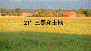 人教部編版六年級上冊語文（上課課件）21.三黑和土地.pptx