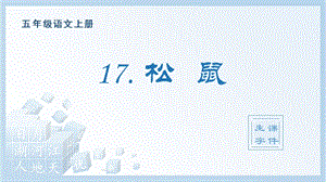 人教部編版五年級上冊語文（生字課件）17.松鼠.pptx