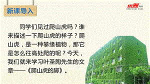 人教部編版四年級上冊語文（教學課件）10.爬山虎的腳.pptx