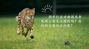 人教部編版五年級(jí)上冊(cè)語(yǔ)文（上課課件）7.什么比獵豹的速度更快.pptx