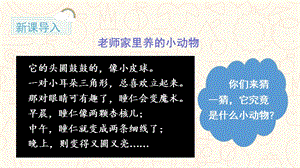 人教部編版二年級上冊語文（教學課件）口語交際有趣的動物.pptx