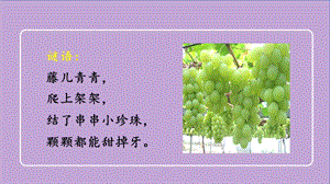 人教部編版二年級上冊語文（教學課件）11.葡萄溝.pptx